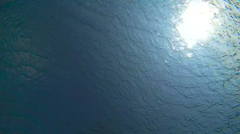 Underwater POV Looking Up at Surface Ripples of a Pond. Stock-Footage 50037959