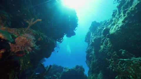 Underwater, pov, swimming between two huge coral reef formations, Bahamas Stock Footage 140491663