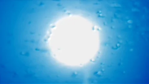 Underwater rain Stock Footage 75447916