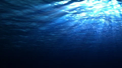 Underwater Ray B Stock Footage 140885