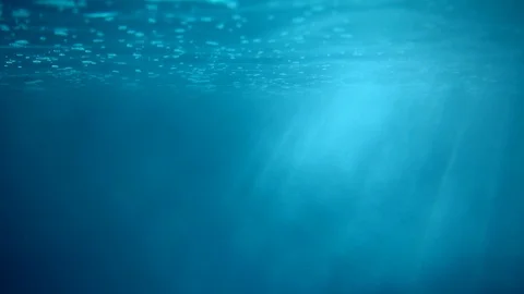 Underwater rays Stock Footage 122560654