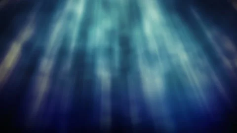Underwater Rays Stock Footage 220115295