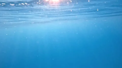 Underwater rays Stock Footage 251162284