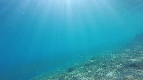 Underwater rays of light and fish 库存影片 151415408