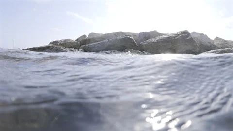 Underwater reef covered with various algae and marine plants, showing sunlight Stock Footage 343091246