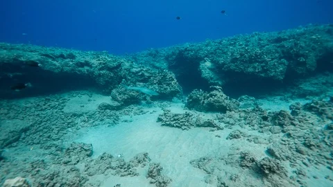 Underwater reef Stock Footage 104814364