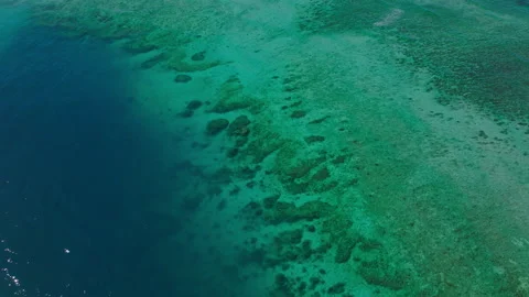 Underwater Reef Patterns in Shallow Tropical Water Stock Footage 313261713