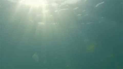 Underwater Refraction of Sunlight Stock Footage 40670842