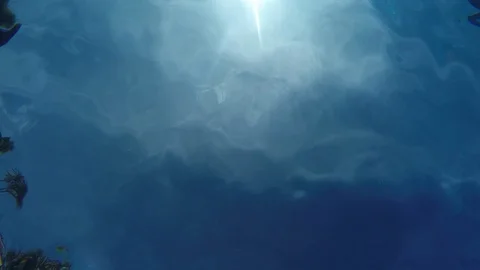 Underwater ripples Stock Footage 92817942