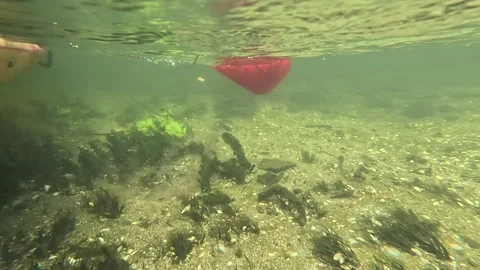 Underwater river bed of mussel shells and water plants, kayak paddle enters, Stock Footage 348279408