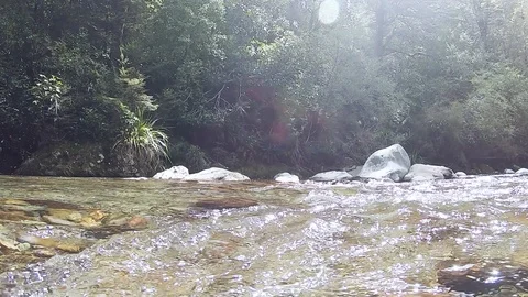 Underwater in river. Camera pans into flowing stream. Water nature landscape. Stock Footage 118349023