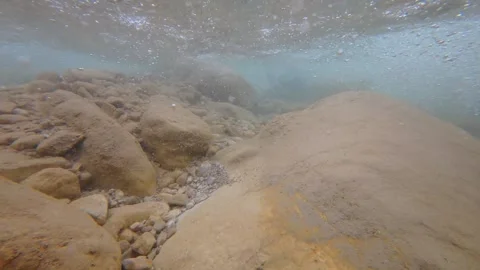 Underwater River Perspective Emerging to Nature Panorama Stock Footage 305235552