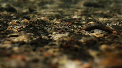 UNDERWATER RIVER ROCKS LIGHT AND SHADOWS Stock Footage 51768869