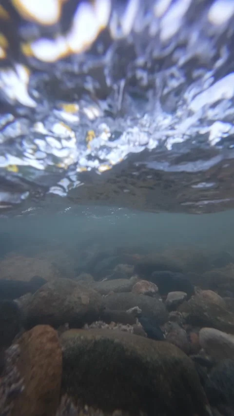Underwater River Scene With Fish Video stock 332861399