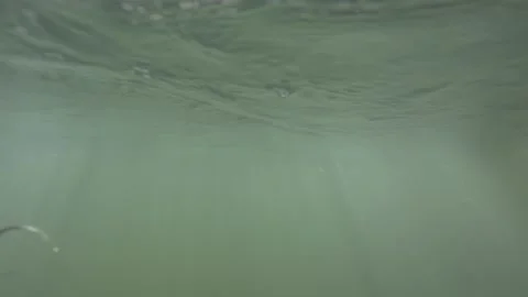 sea monster, wide angle, pov underwater, pale skin, dark, foggy  