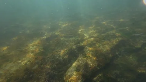 Underwater rock Stock Footage 255715166