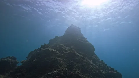 Underwater Rock with Sunlight Through Blue Ocean Water Stock Footage 342368341