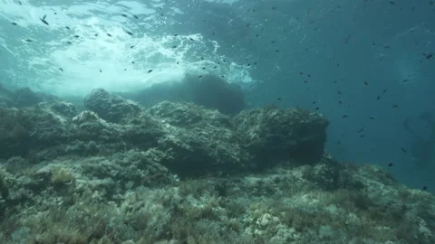 Underwater rock towards the surface of the sea with Chromis chromis, Total shot Stock Footage 225521107