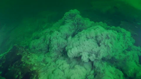 Underwater rockfall and sediment cloud moving down a rocky slope Vidéo 63112566