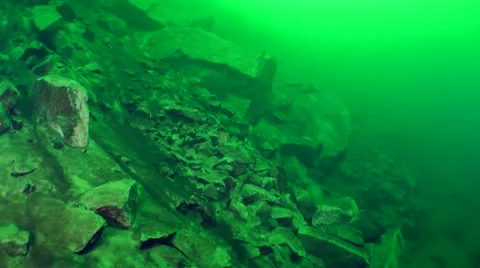 Underwater rockfall creates a dense sediment cloud on rocky slope Vidéo 63112335
