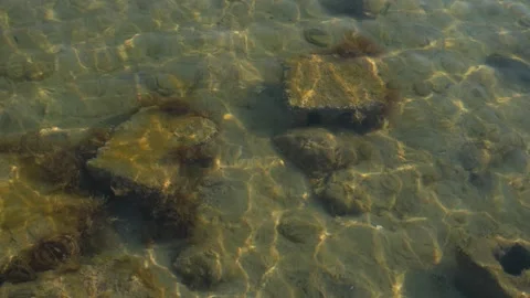 Underwater Rocks and Algae Stock Footage 319952307