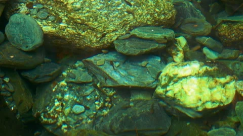 Underwater Rocks in Clear Stream  Natural Stone Texture and Riverbed Detail Stock Footage 316294489
