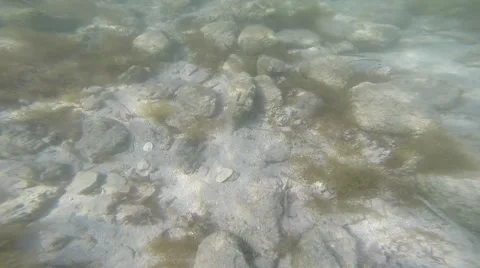 Underwater - Rocks On The Seabed Vidéo 54394150