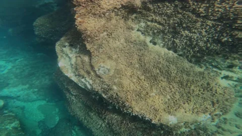 Underwater rocky environment Stock Footage 148514961