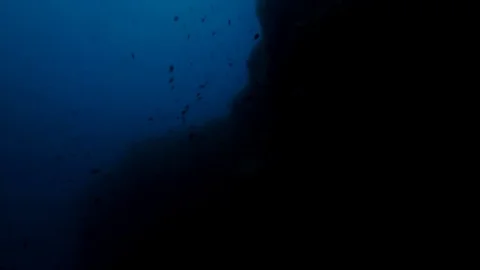 Underwater, Rocky formation, Pan right wide low angle shot Stock Footage 82632076
