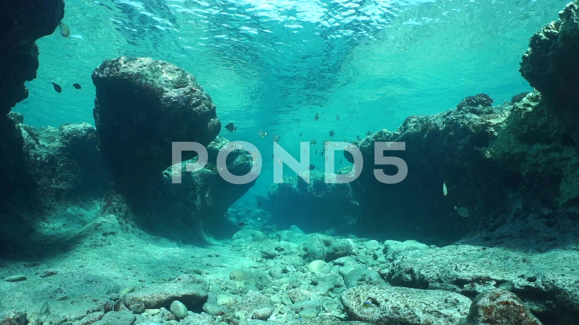 Underwater rocky ocean floor Pacific oce, Stock Video