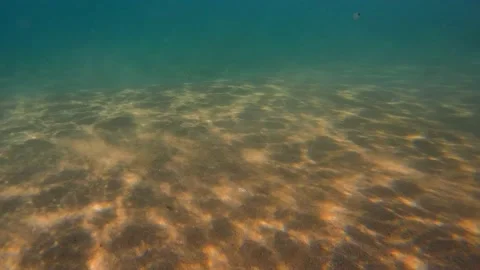 Underwater Sand Stock Footage 205070160