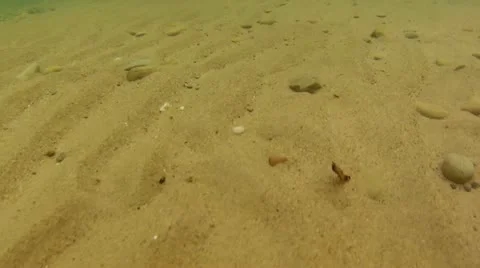 Underwater Sand Ripples Stock Footage 11706687