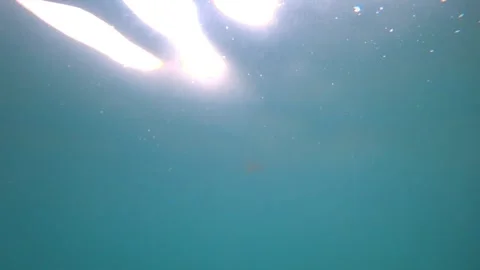 Underwater sandy bottom and ocean sunset with small waves Vídeos de archivo 311714192