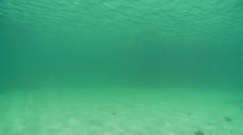 Underwater sandy sea floor surface Video stock 12411041