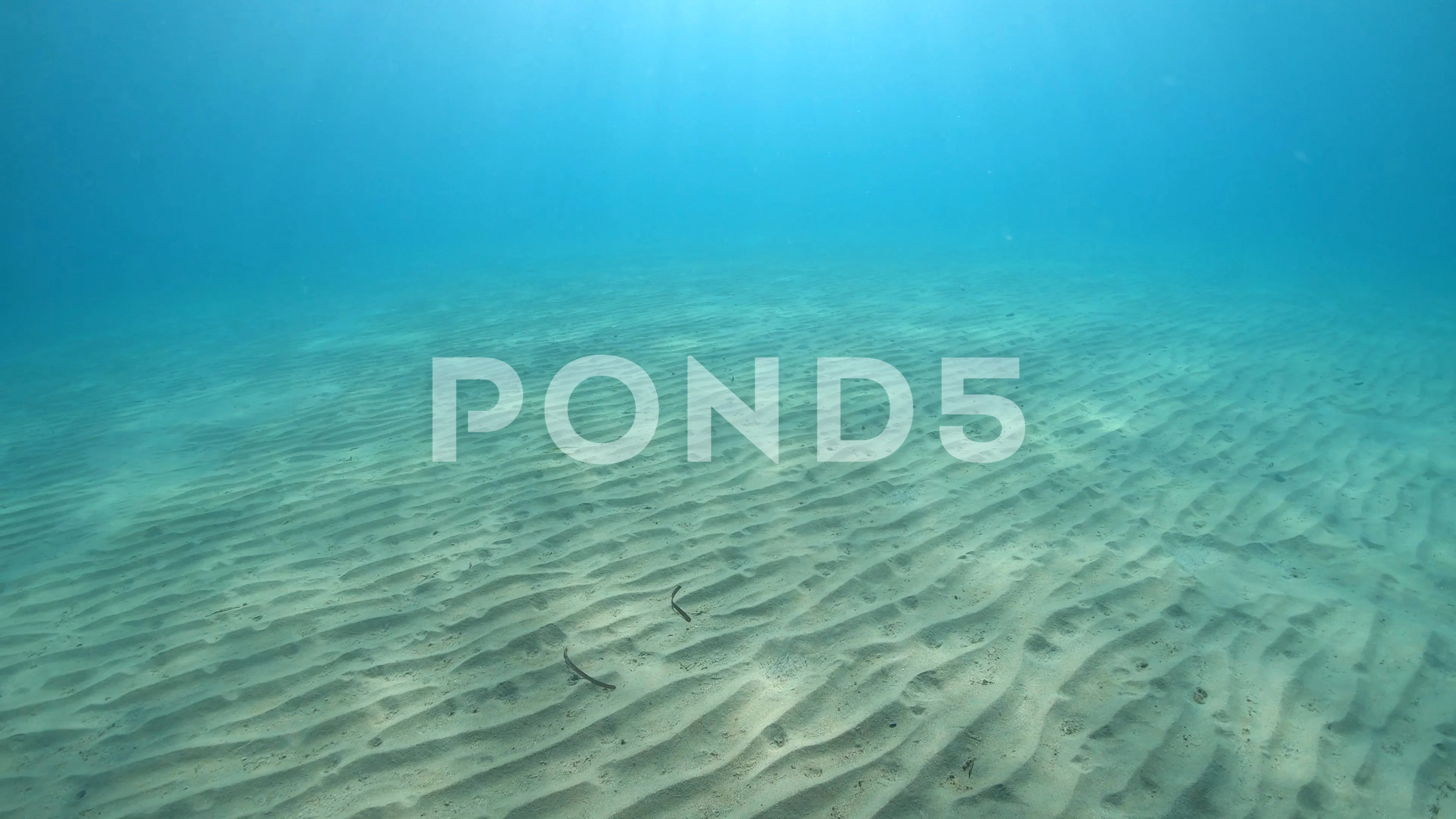 Underwater sandy seabed in Mediterranean, Stock Video