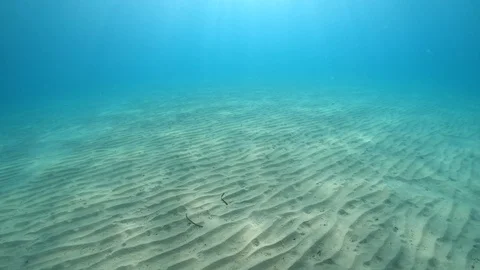 Mediterranean Sea Sandy Sea Floor and Pristine Clean Water