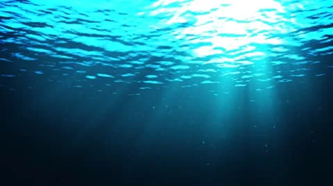 Underwater sceen Stock Footage