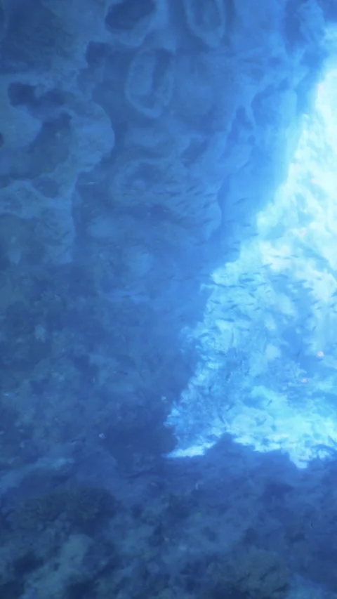 Underwater scene in a blue cave with light shining through the surface Stock Footage 341963896