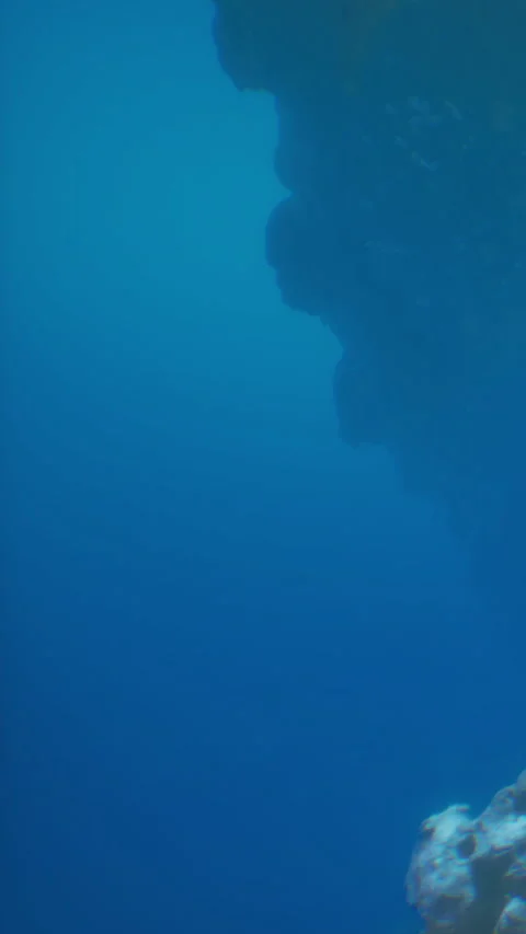 Underwater scene with divers exploring dark water at a rocky surface Stock Footage 342335817