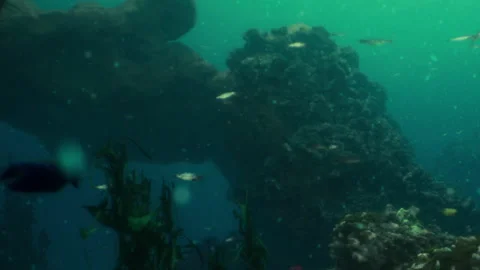 Underwater scene with fish and rock formations in blue ocean Stock Footage 345059667