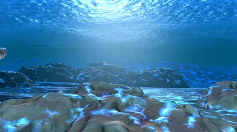 Underwater scene with fish Stock Footage 2205970