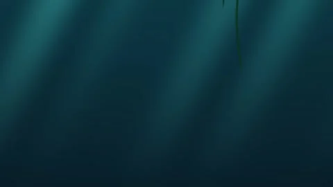 Underwater scene with flowing plants in a deep blue setting Stock Footage 338236851