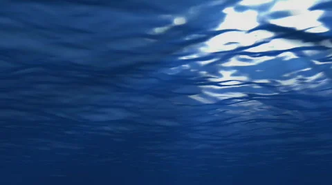 Underwater Scene Video stock 104742