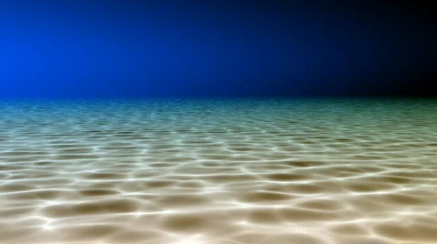 Underwater scene Stock Footage
