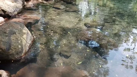 Underwater scene Stock Footage 236633468