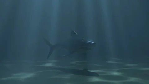 Underwater scene Stock Footage 287843704