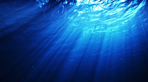 Underwater scene. Loopable. 2 in 1. Video stock 28700311