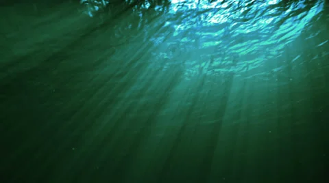 Underwater scene. Loopable. 2 in 1. Green. 스톡 동영상 28700422