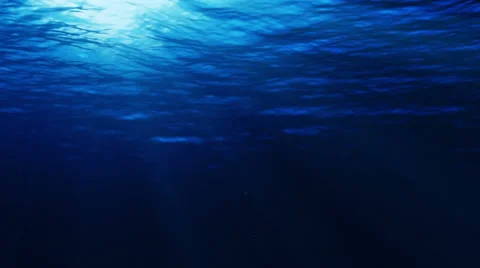 Underwater scene. Loopable. Blue. 스톡 동영상 30595858