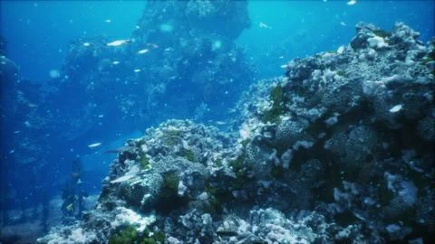 Underwater scene with a multitude of fish swimming around a colorful coral re Stock Illustration